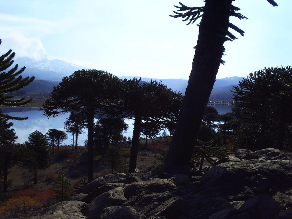 Hosteria De Montana Los Duendes Del Volcan Caviahue Εξωτερικό φωτογραφία